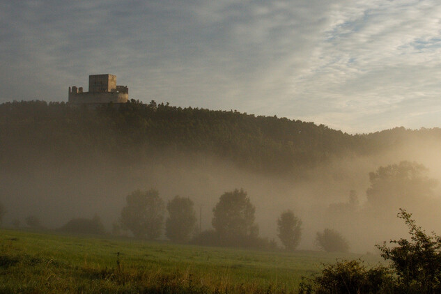 V mlžném ránu | © Jan Kavale